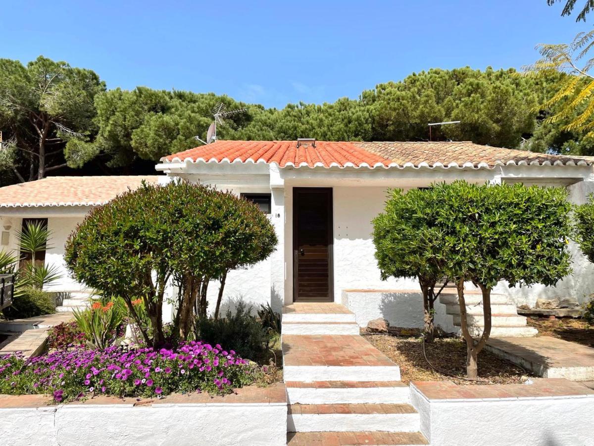 Vakantiehuis Falesia House
